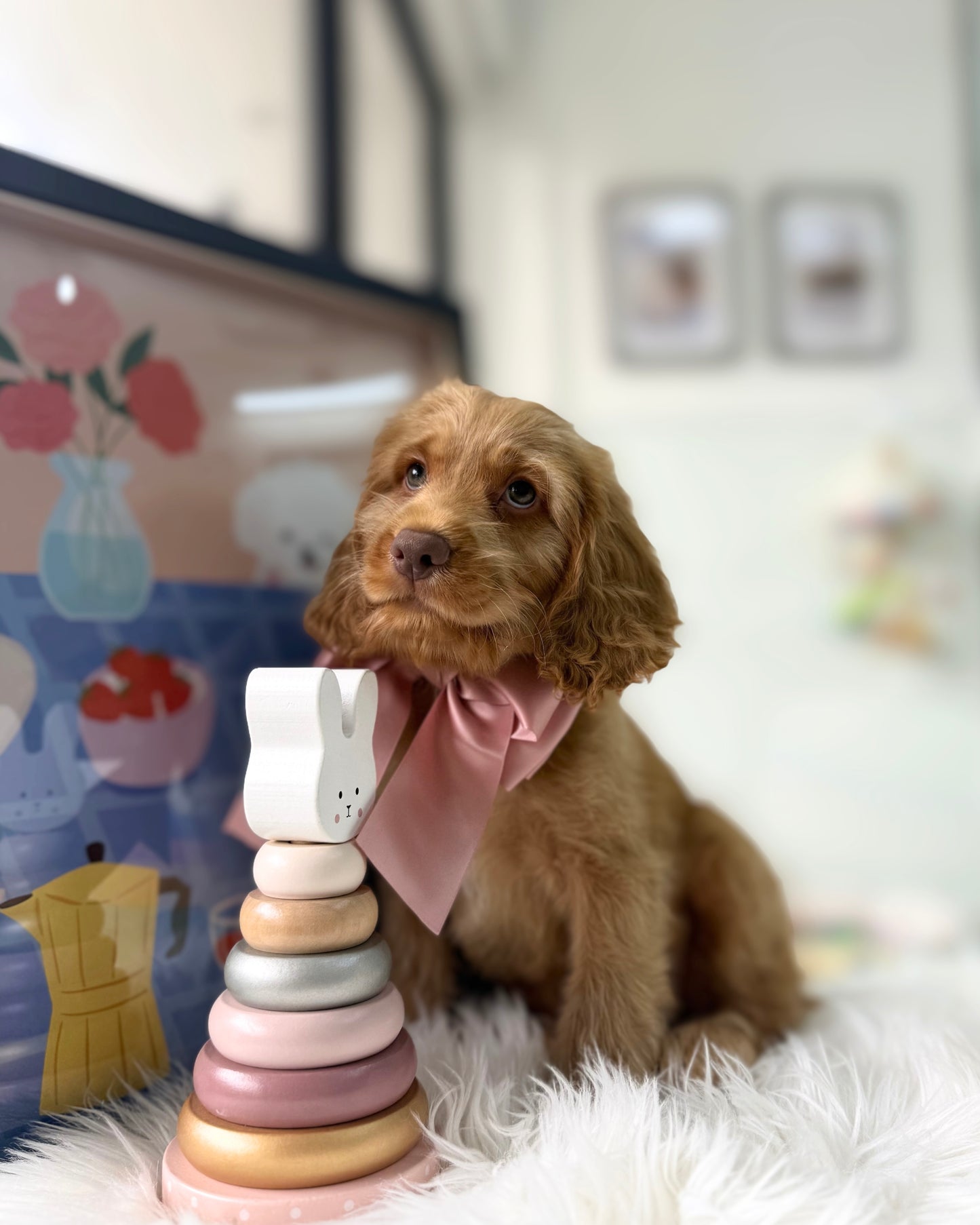 🧸✨ Koda: Golden Cockapoo 🇸🇬 (Boy)