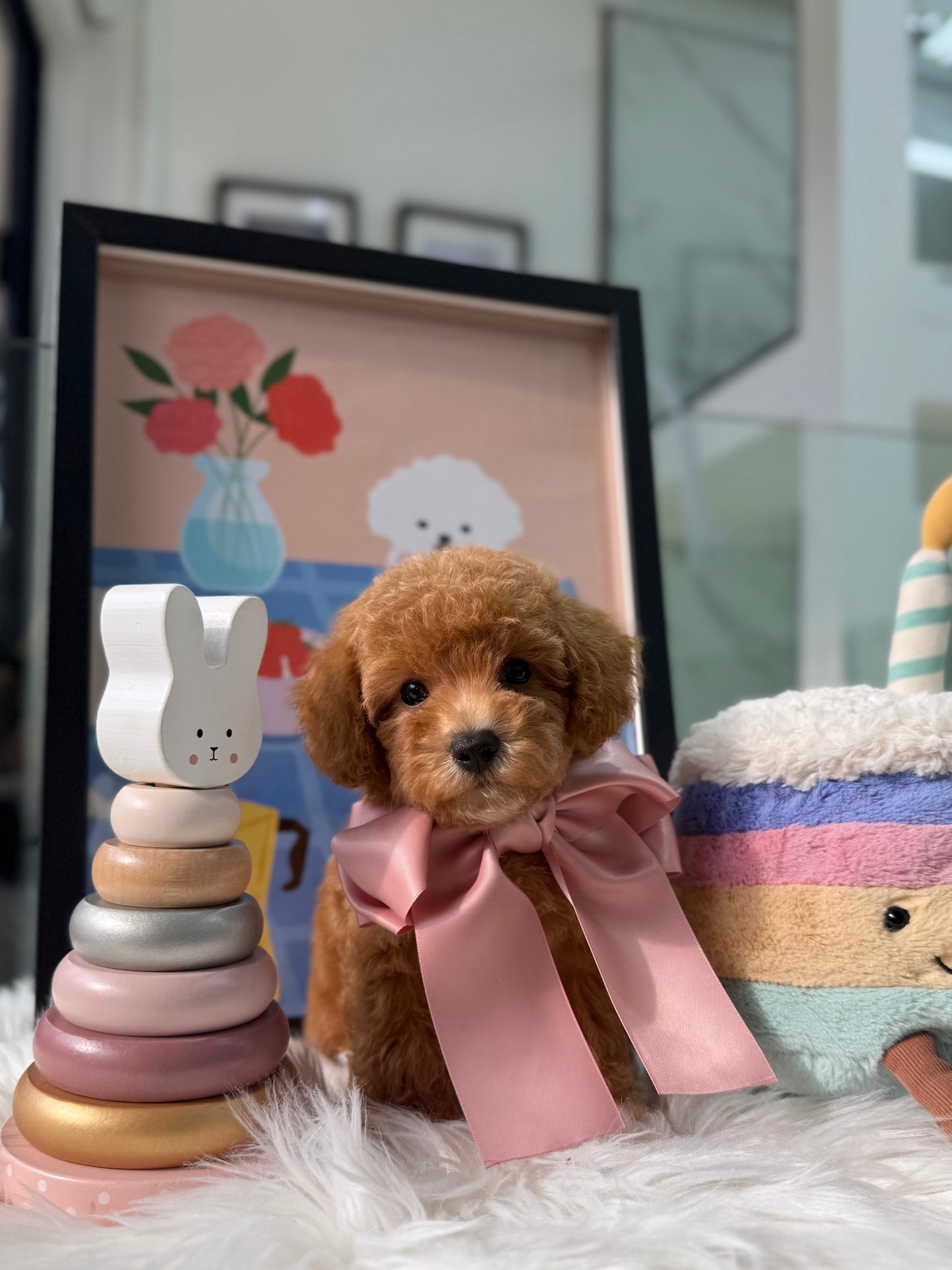 🐶✨ Milo: Brown F1B Toy Cavapoo 🇸🇬 (Boy)