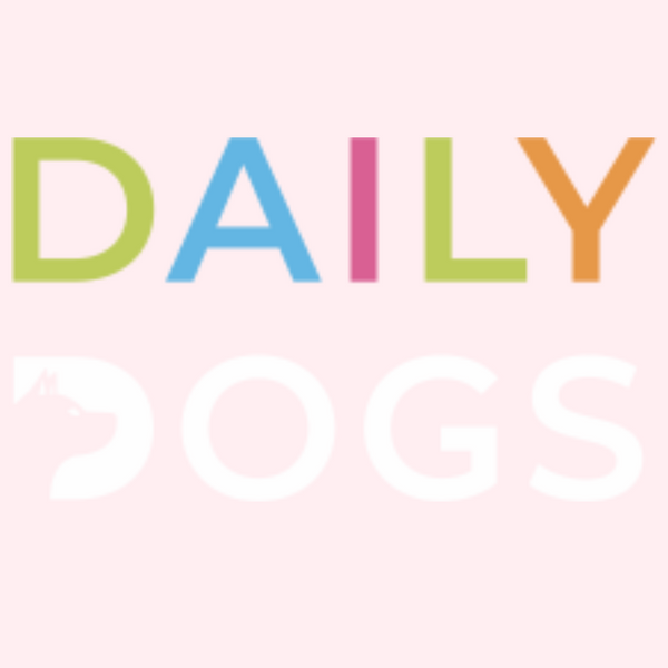 Image 2: DAILY DOGS